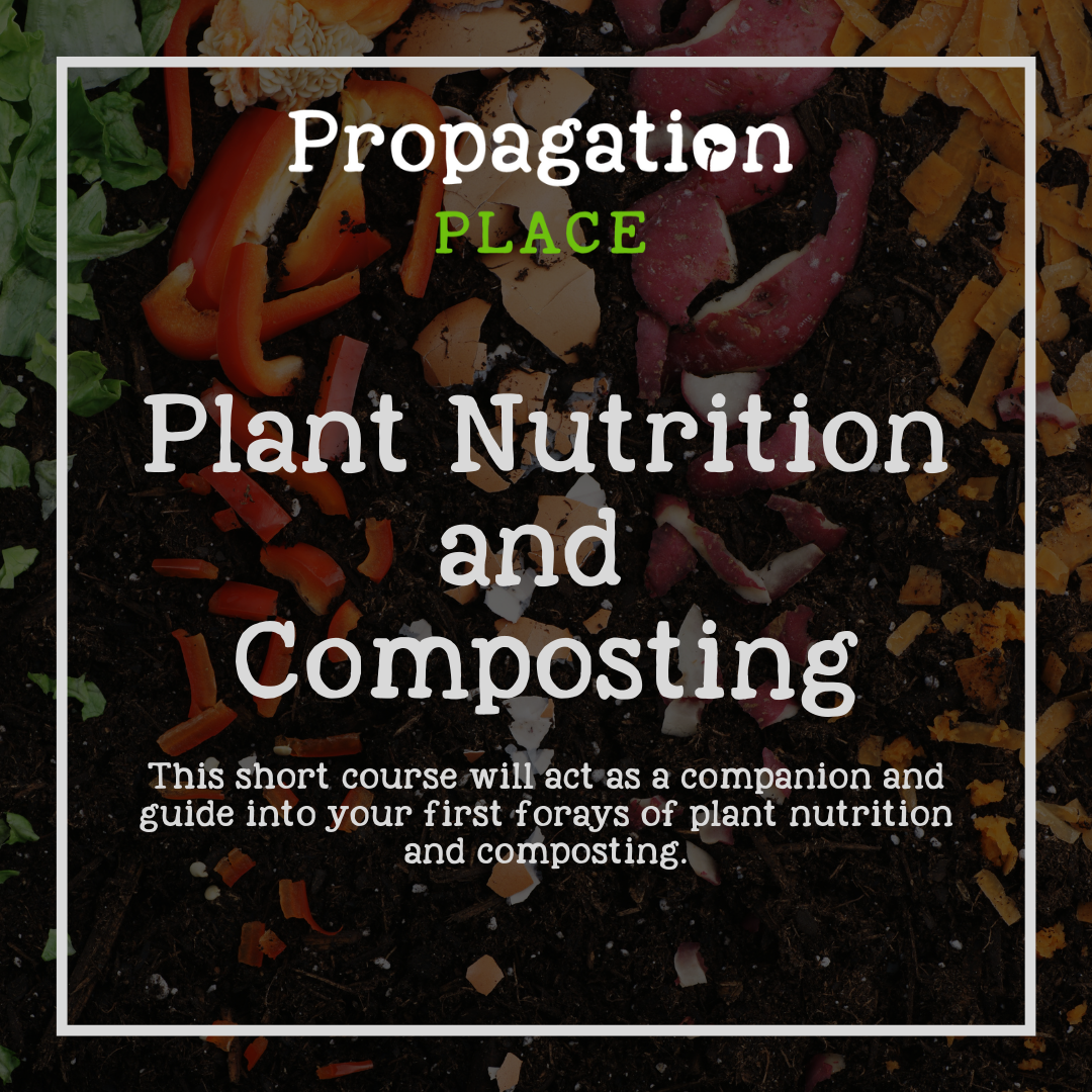Plant Nutrition and Composting