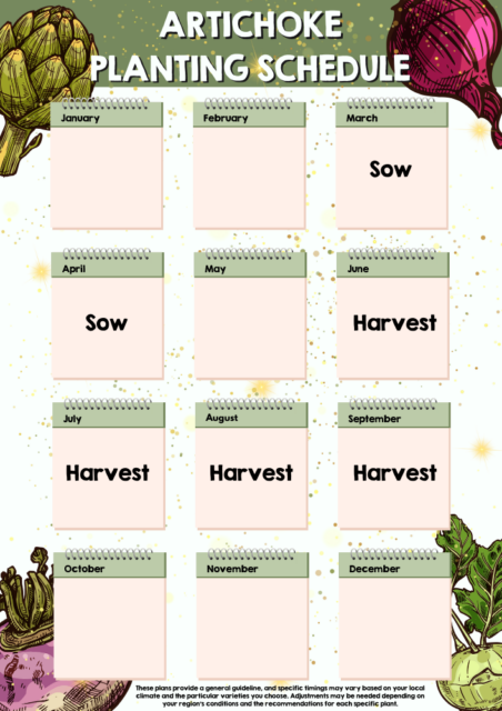 Artichoke planting schedule