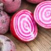 Beetroot Chioggia Plant Plugs