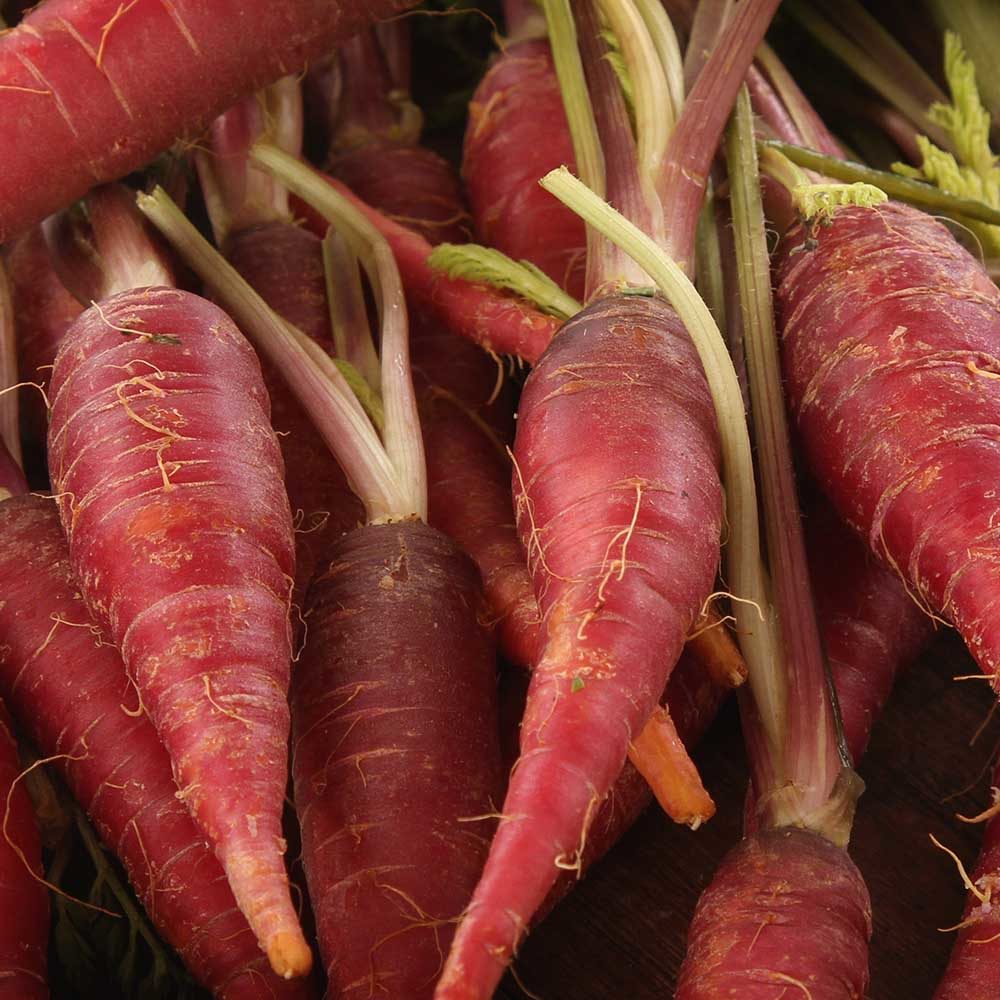 Unusual vegetables  Carrot Red Samurai 