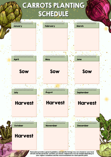 Carrot planting schedule