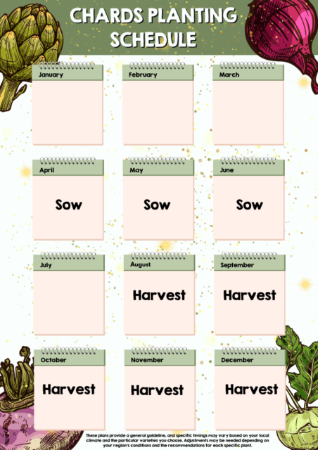 Chard planting schedule