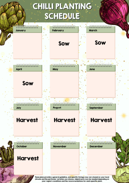 Chilli planting schedule