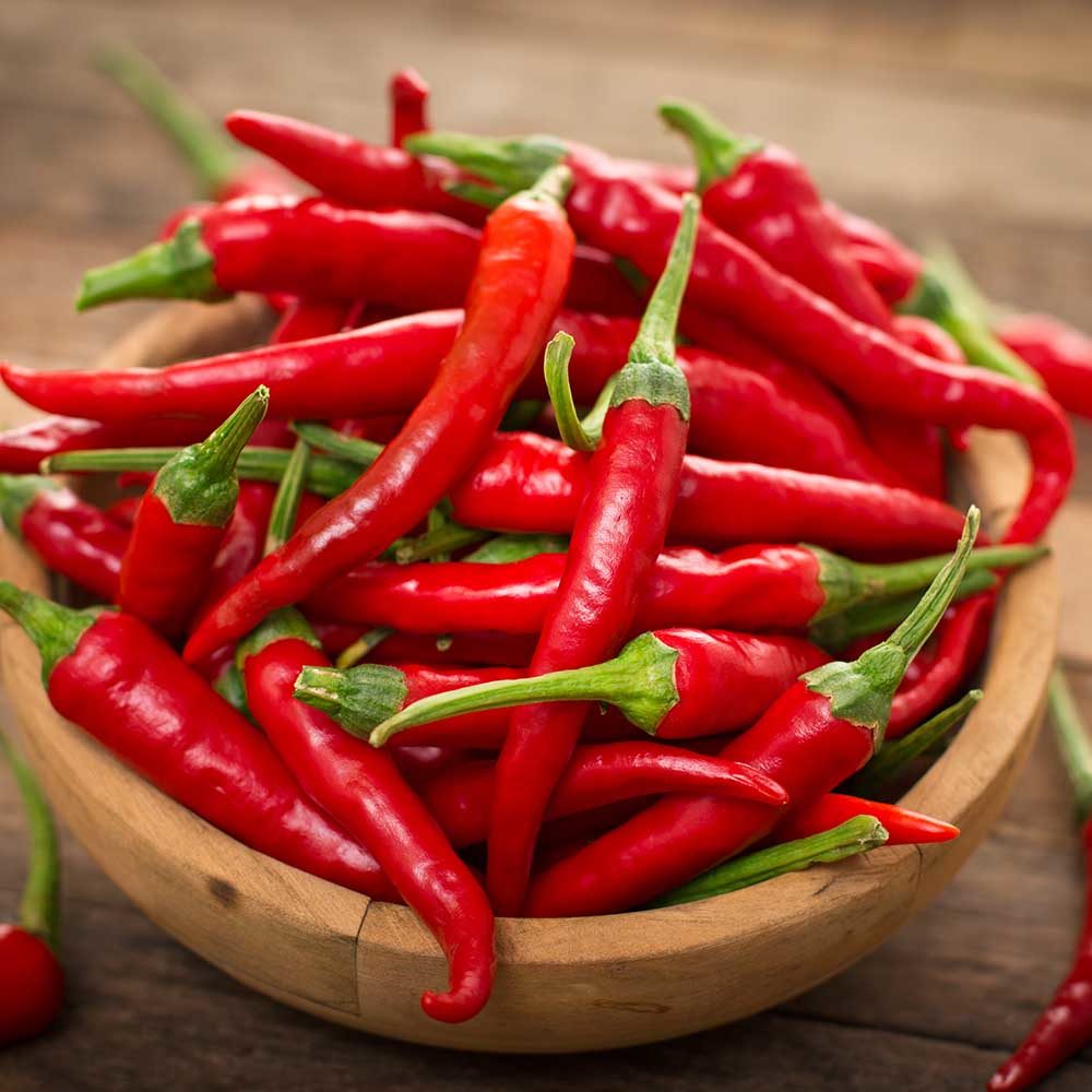 Pepper (Chilli) Hot Picante de Cayenne – Propagation Place