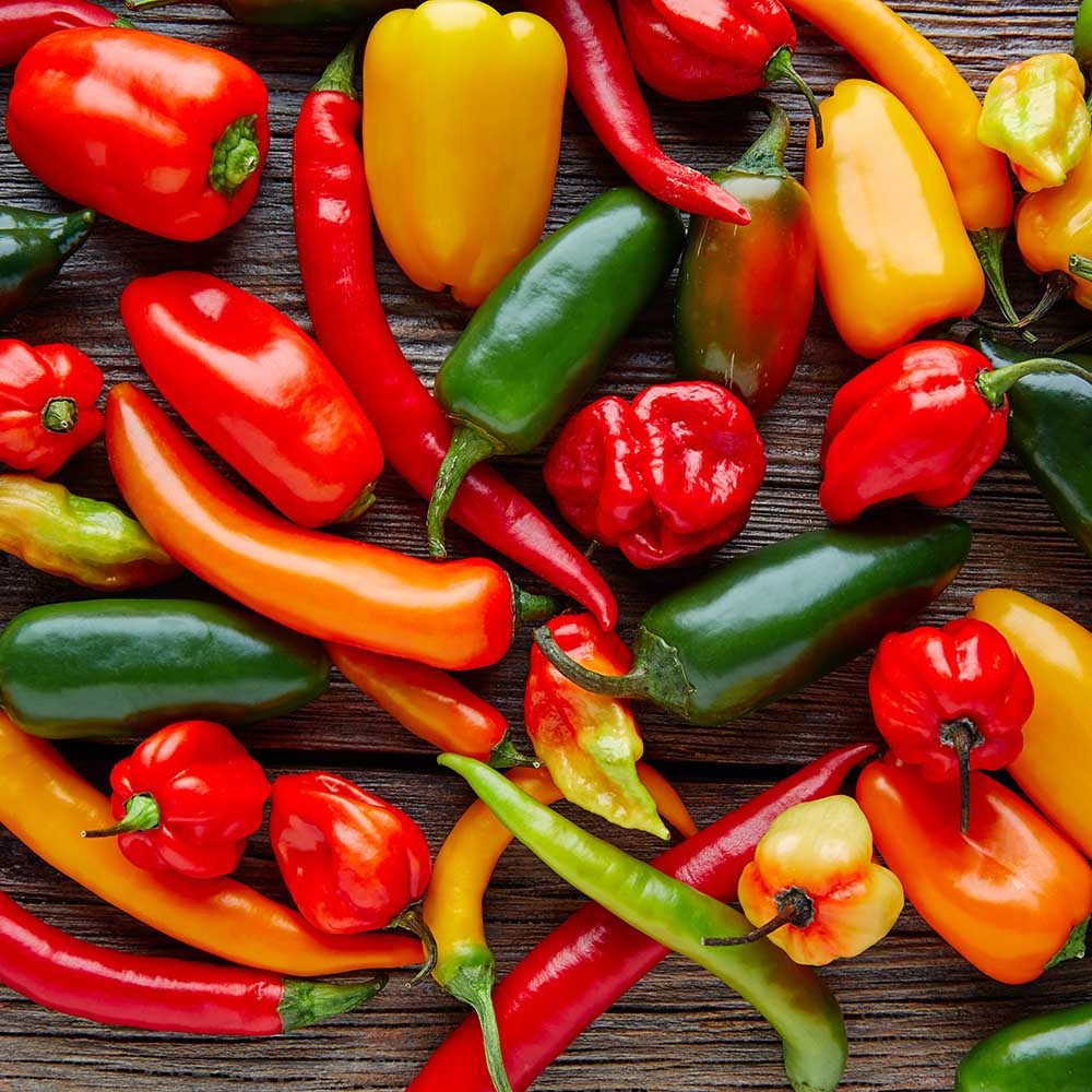 Chilli Pepper Surprise Hot Mixed Plants
