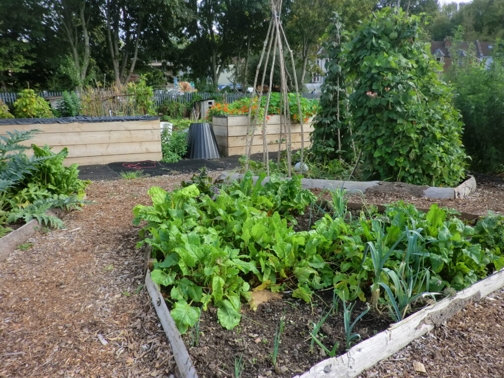 how to plan a vegetable garden