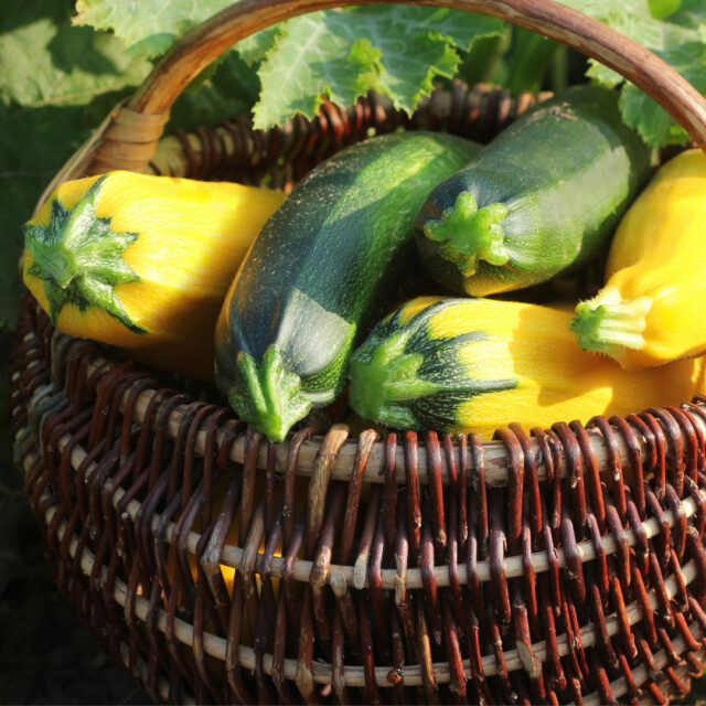Courgette mix