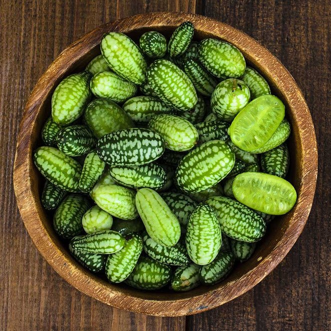 Growing Cucamelons in Gardens and Containers is fun and easy