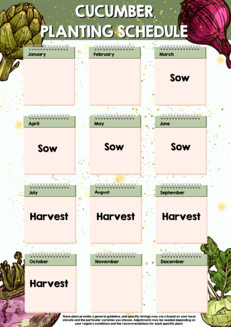 Cucumber planting schedule