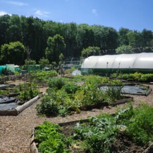 The Garden and Polytunnel at Propagation Place