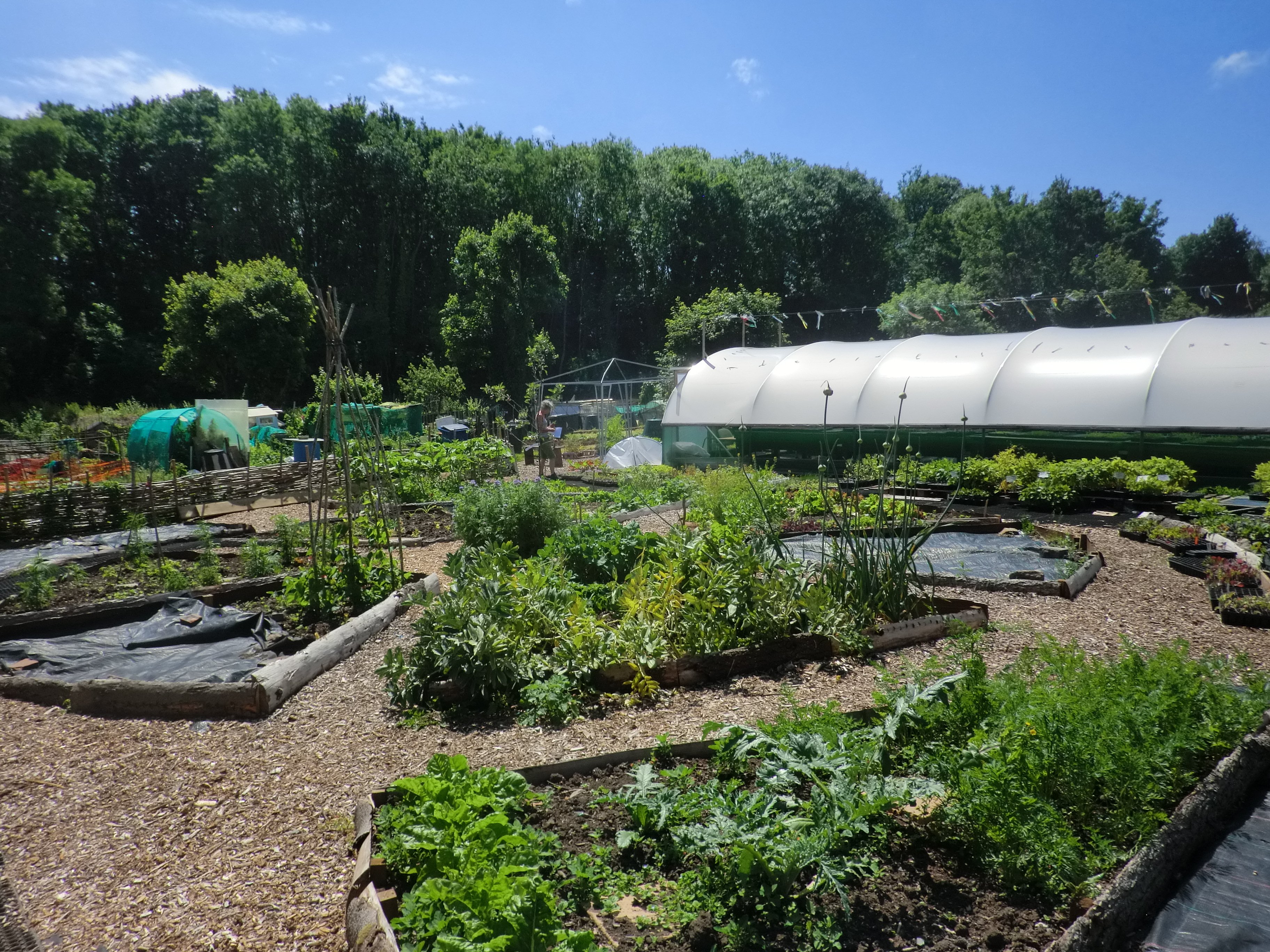 The Garden and Polytunnel at Propagation Place
