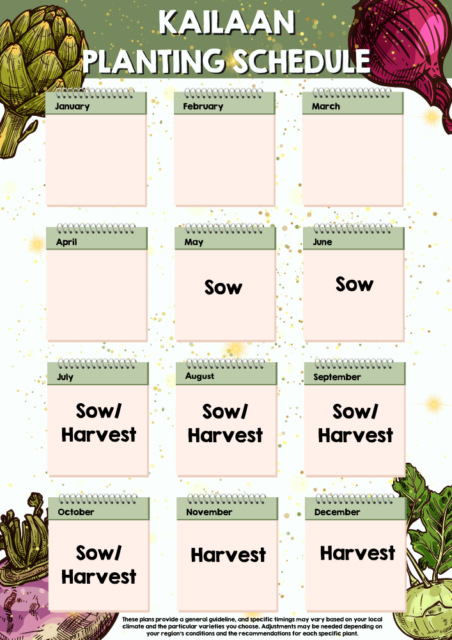 Kailaan chinese kale planting schedule