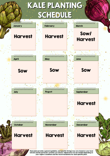 Kale planting schedule