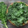 Kale Dwarf Green Curled Plant Plugs