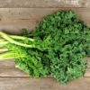 Kale Dwarf Green Curled Plant Plugs