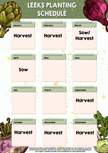 Leek planting schedule