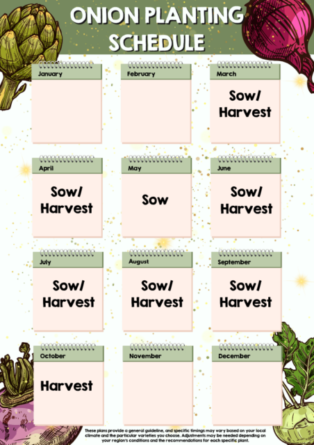 Onions planting schedule