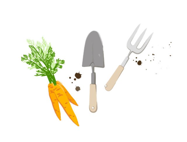 vegetable gardening tools