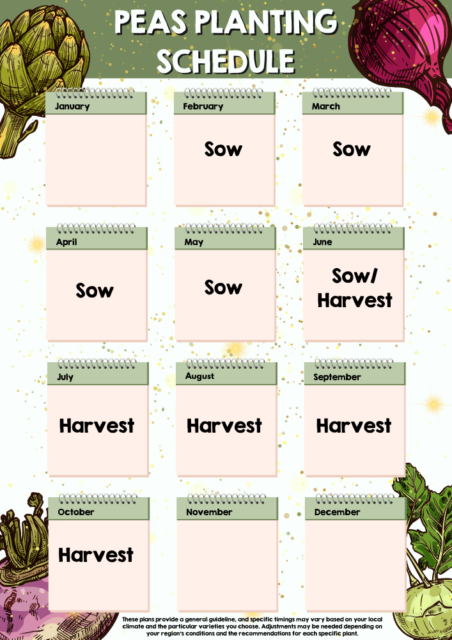 Peas planting schedule