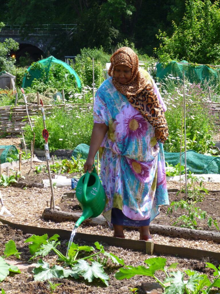 Rahma watering the garden
