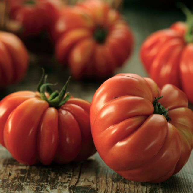 Tomato Costoluto fiorentino