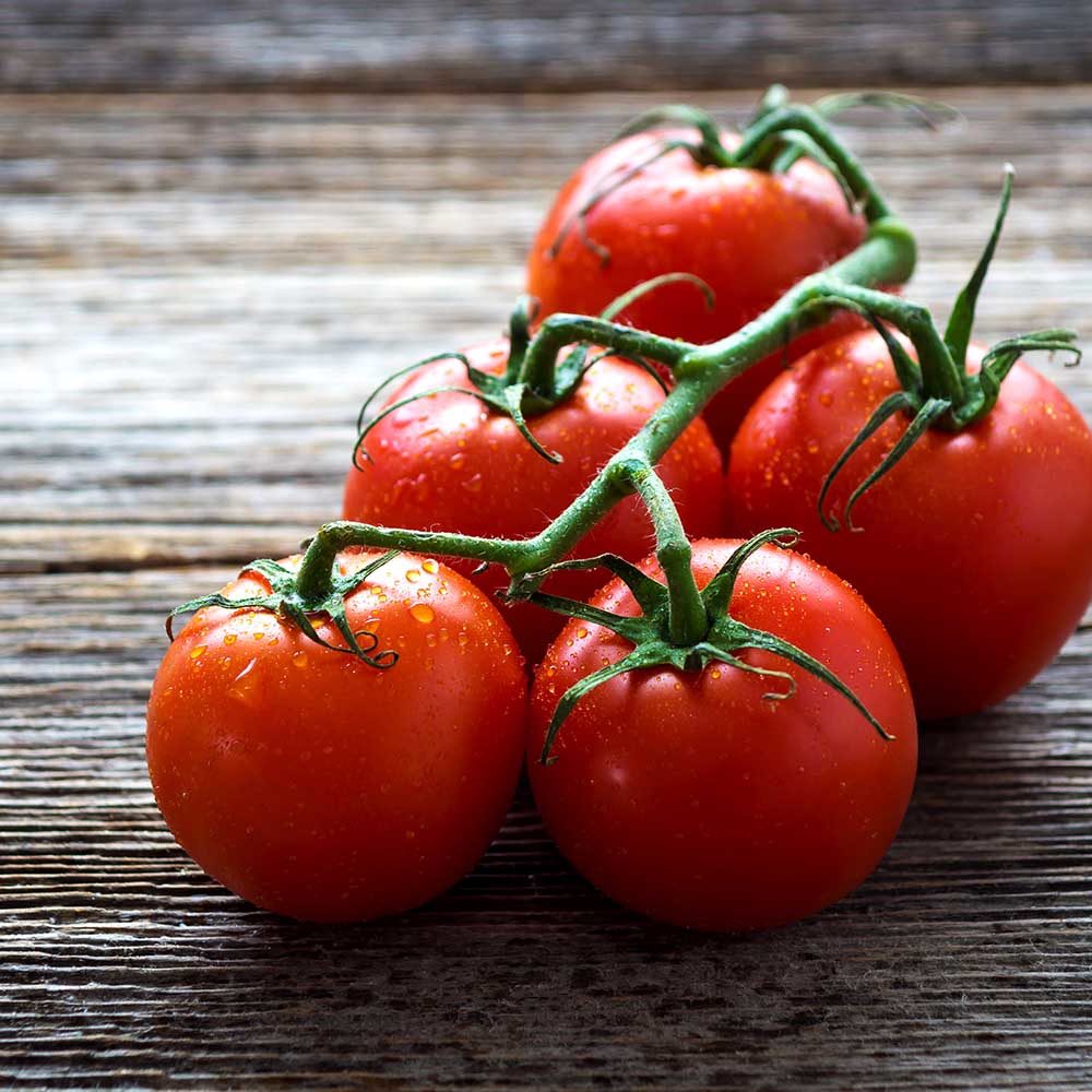 Tomato Gardeners delight