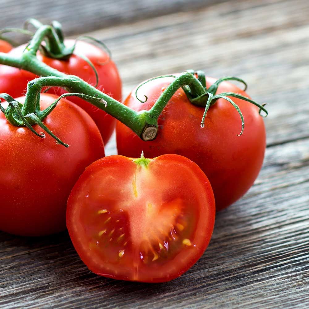 Tomato Gardeners delight
