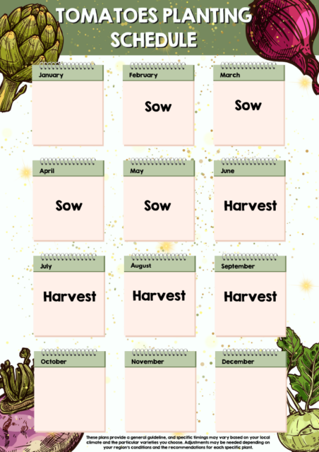Tomatoes planting schedule