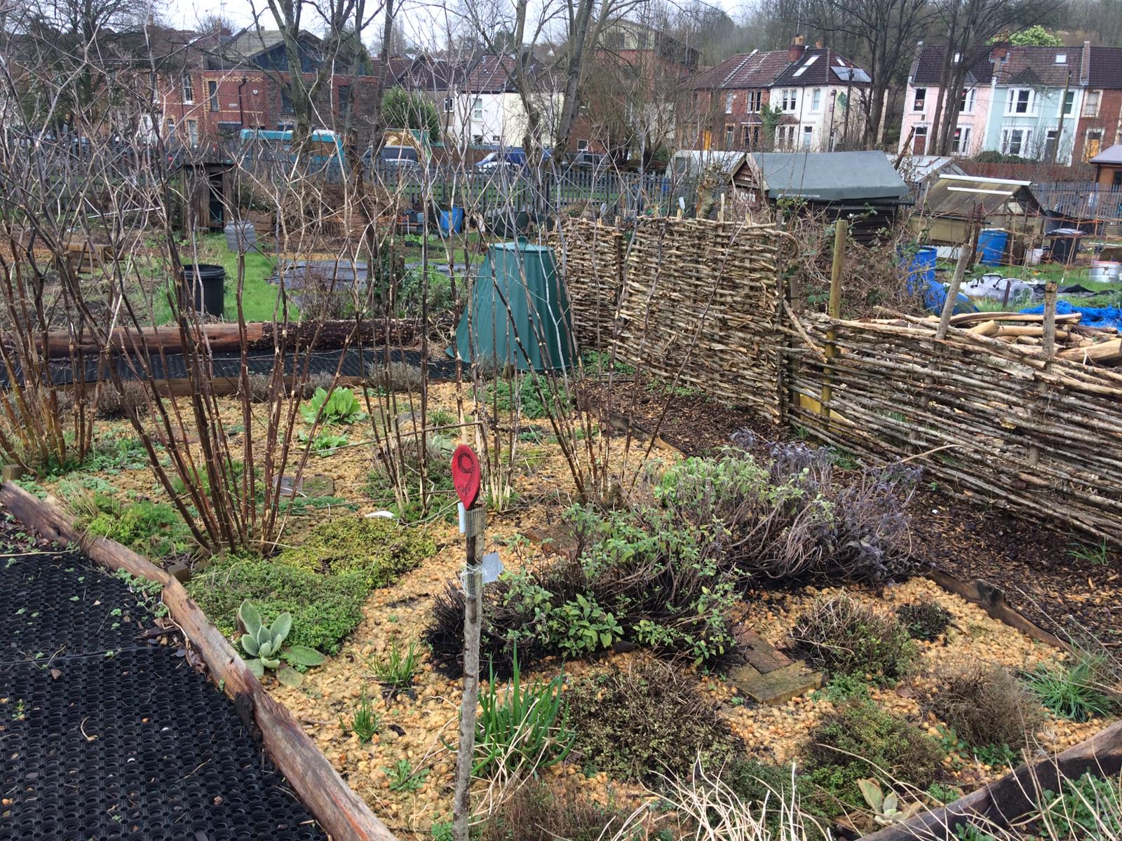 Vegetable beds with mulch