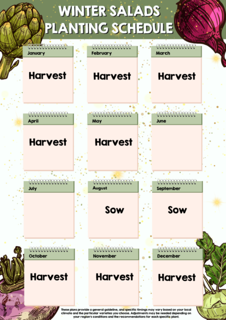 Winter Salads planting schedule