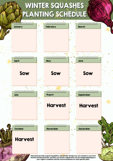 Winter Squashes planting schedule