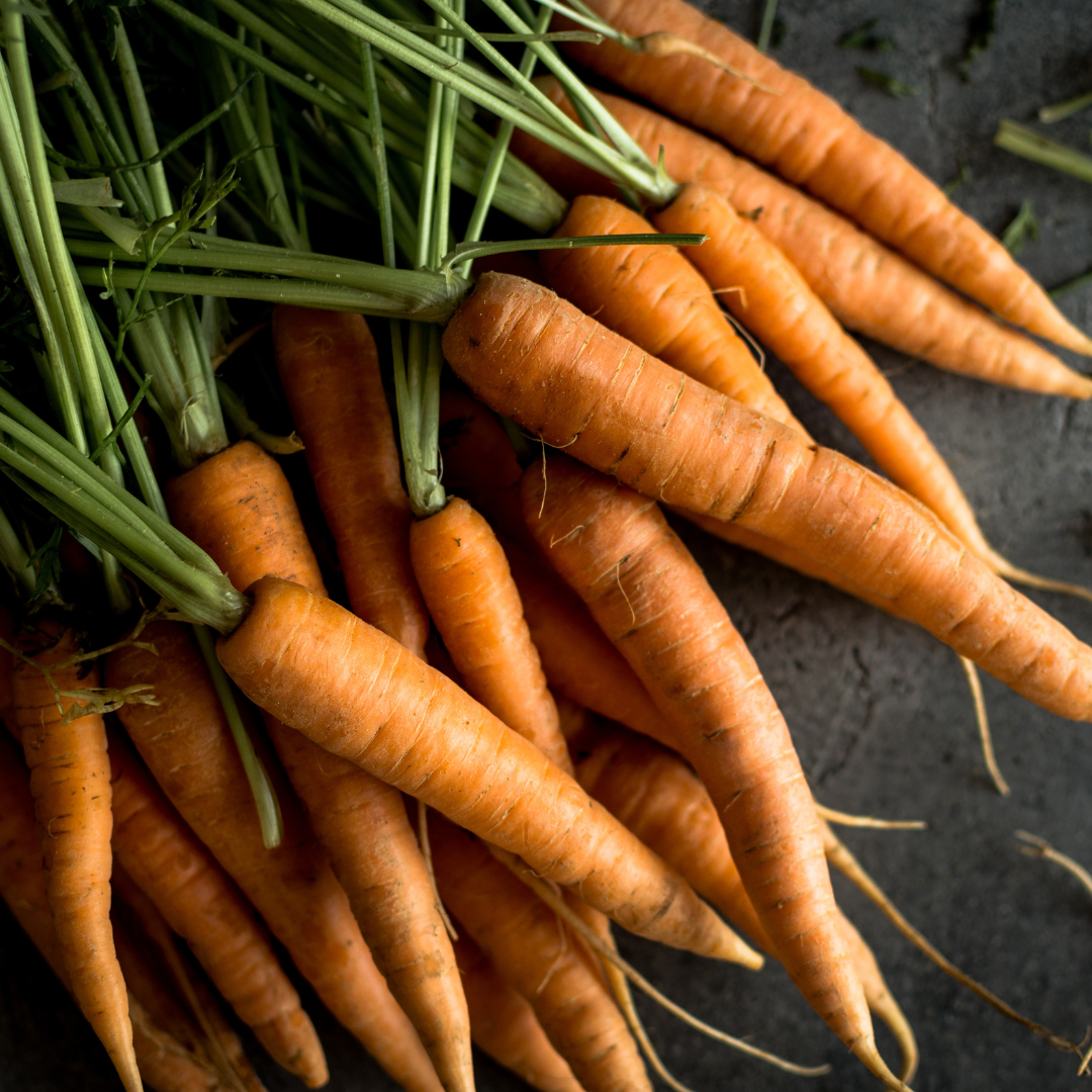carrot nantes