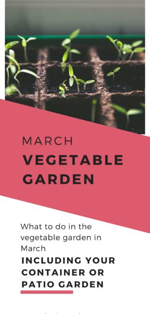 march vegetable garden